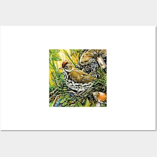 Ovenbird, Friend of the Forest Floor Posters and Art